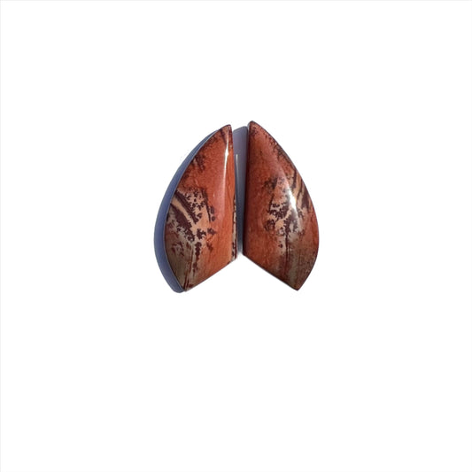 Reserved for Danielle C. ||  Owyhee Jasper PAIR, 31.08 ctw