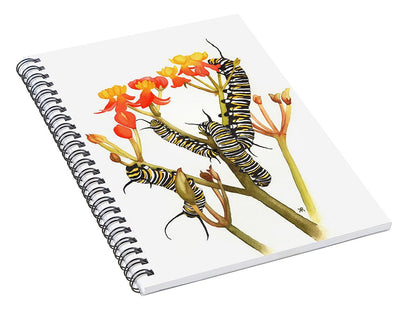 Monarchs - Spiral Notebook