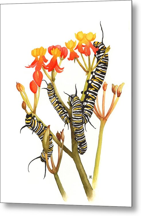 Monarchs - Metal Print