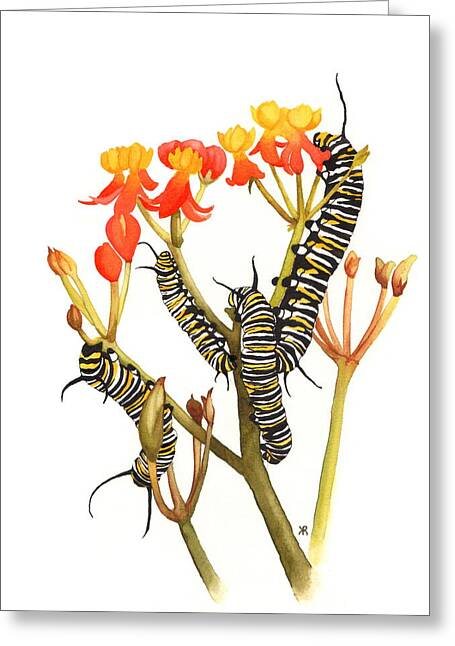 Monarchs - Greeting Card