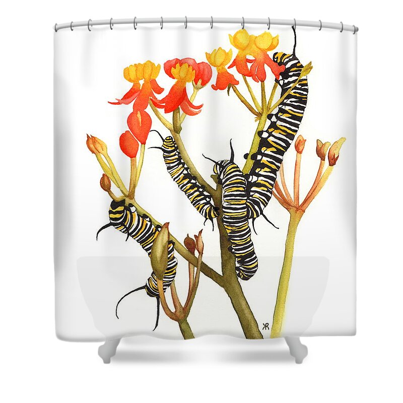 Monarchs - Shower Curtain