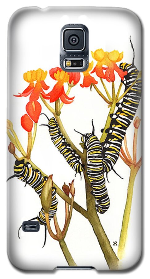 Monarchs - Phone Case