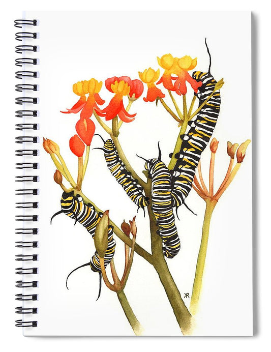 Monarchs - Spiral Notebook