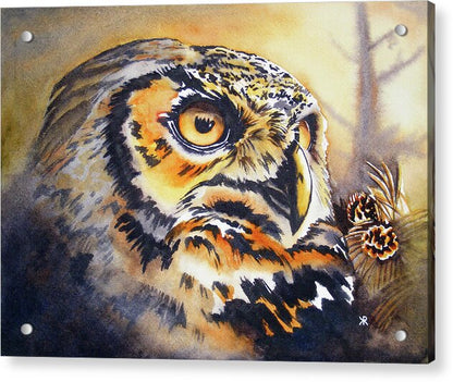 Owl 1 - Acrylic Print