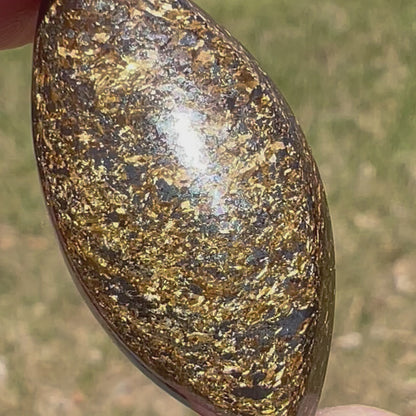 Bronzite, 24.89 cts