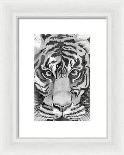 Tiger - Framed Print