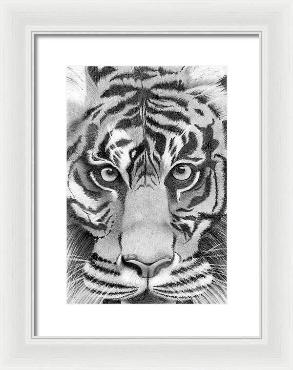 Tiger - Framed Print