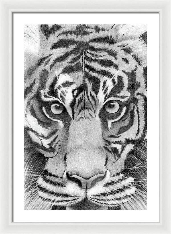 Tiger - Framed Print