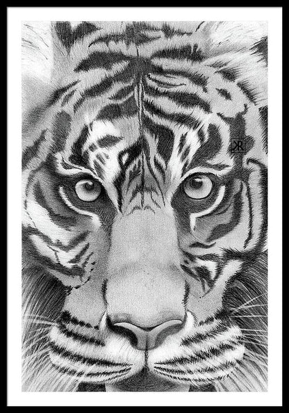 Tiger - Framed Print