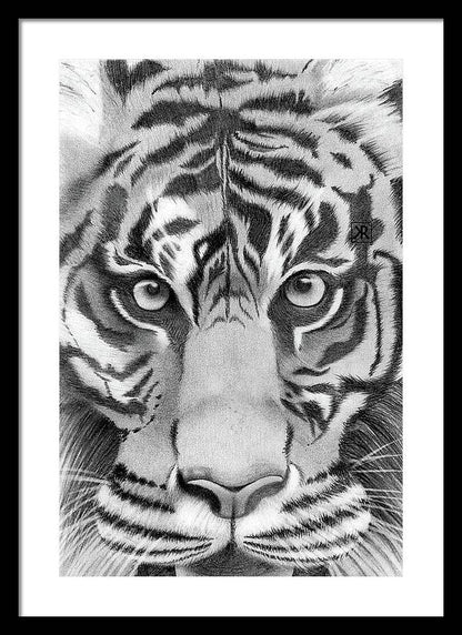 Tiger - Framed Print