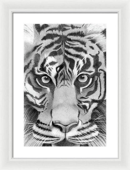 Tiger - Framed Print