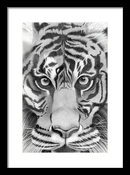 Tiger - Framed Print