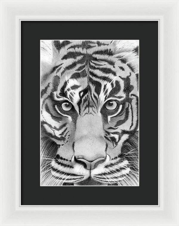 Tiger - Framed Print