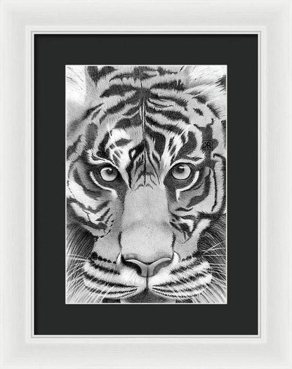 Tiger - Framed Print