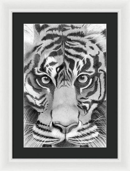 Tiger - Framed Print