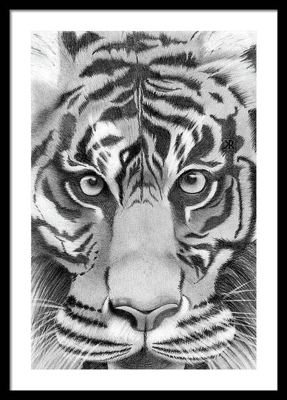 Tiger - Framed Print