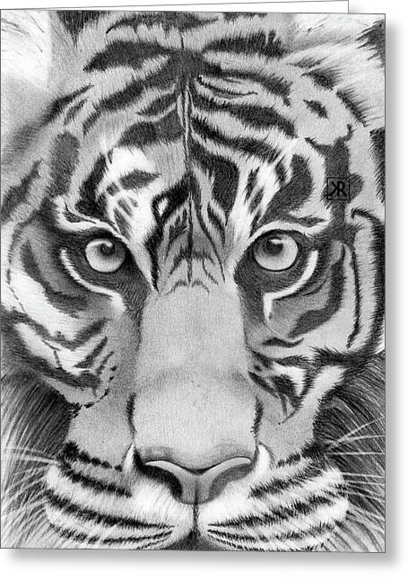 Tiger - Greeting Card