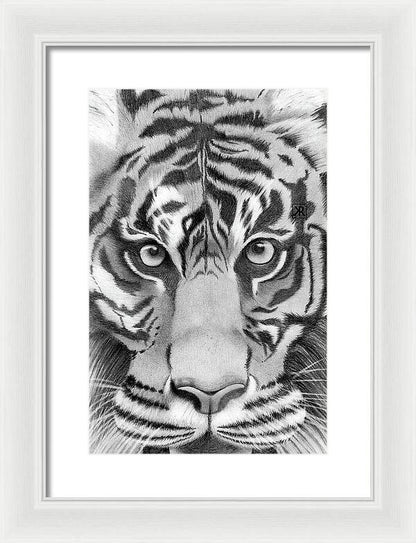 Tiger - Framed Print