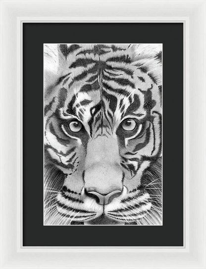 Tiger - Framed Print