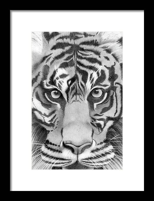 Tiger - Framed Print