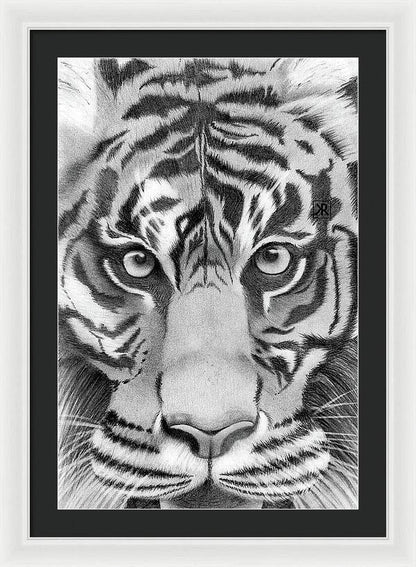 Tiger - Framed Print