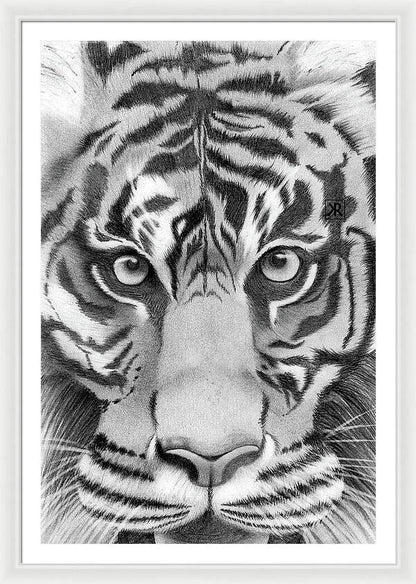 Tiger - Framed Print