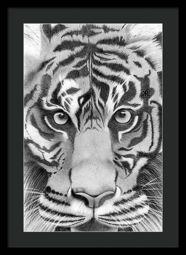 Tiger - Framed Print