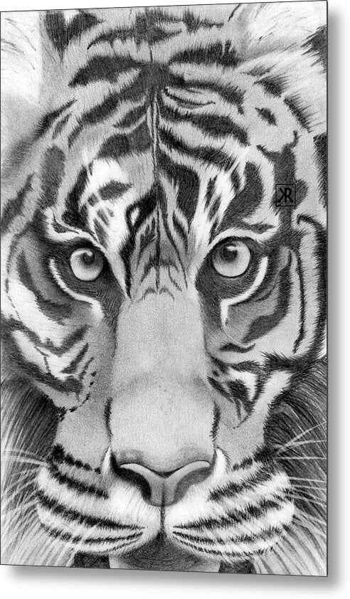 Tiger - Metal Print