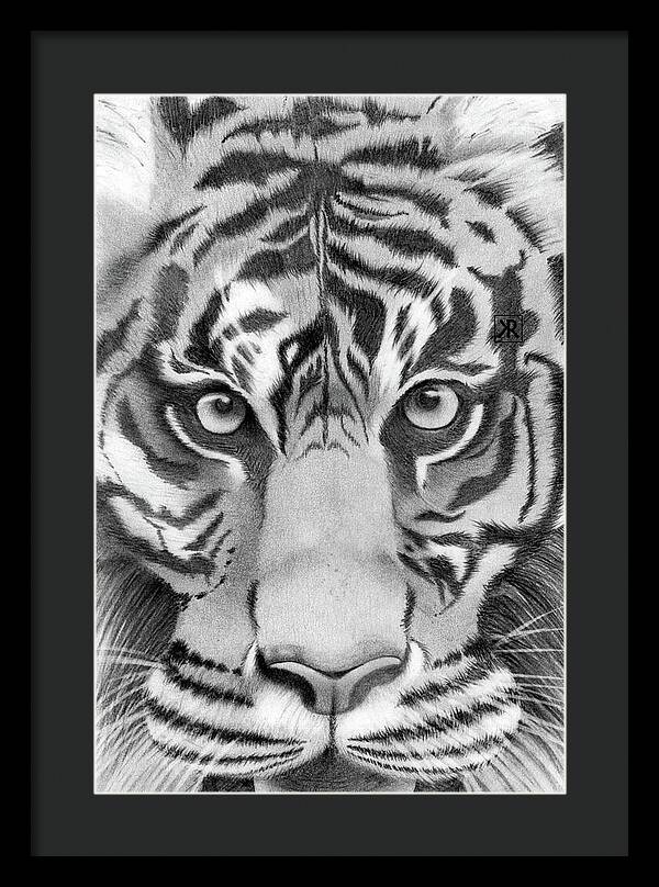 Tiger - Framed Print