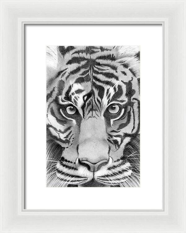 Tiger - Framed Print