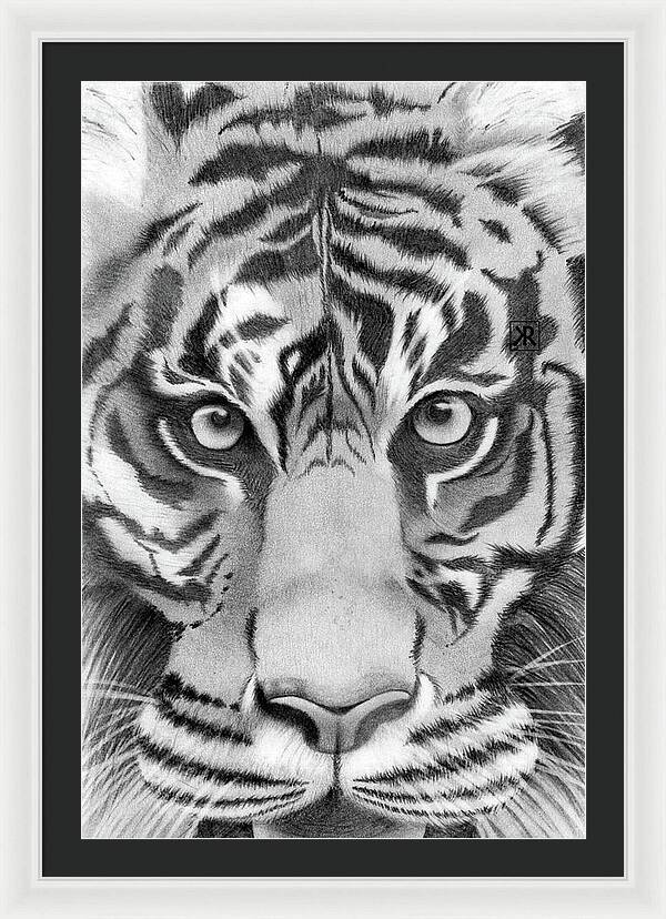 Tiger - Framed Print