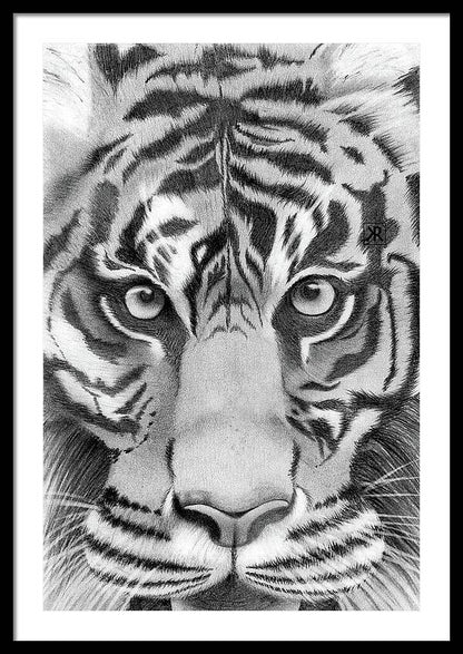 Tiger - Framed Print