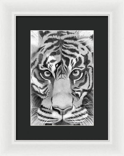 Tiger - Framed Print