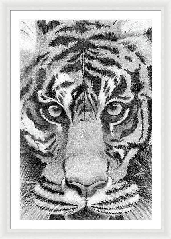 Tiger - Framed Print