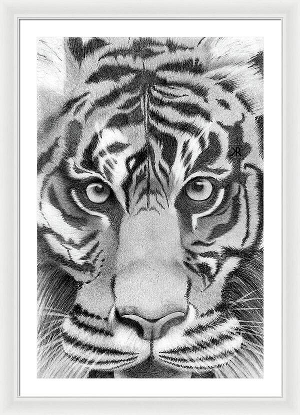 Tiger - Framed Print