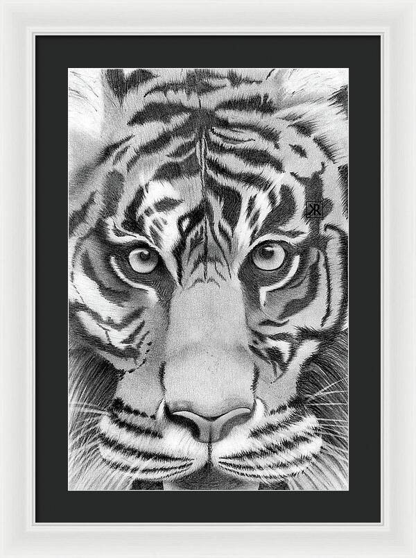 Tiger - Framed Print