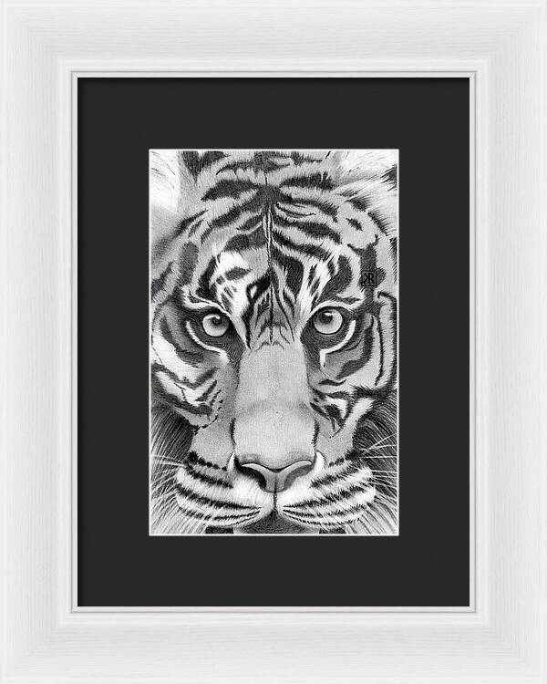 Tiger - Framed Print