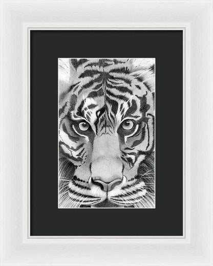 Tiger - Framed Print