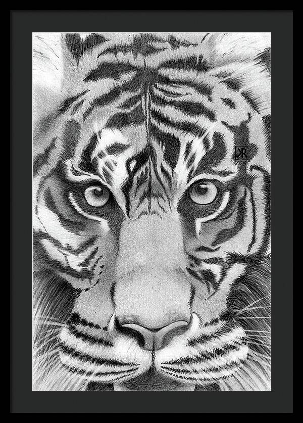 Tiger - Framed Print