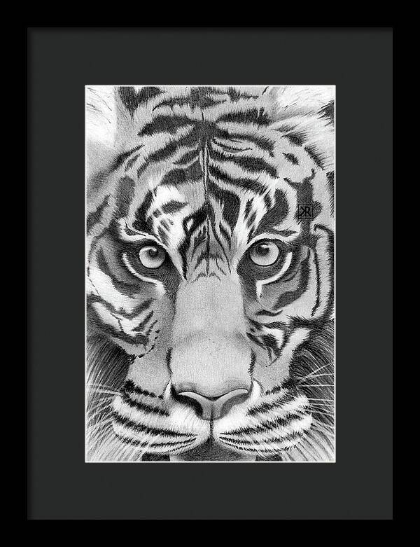 Tiger - Framed Print