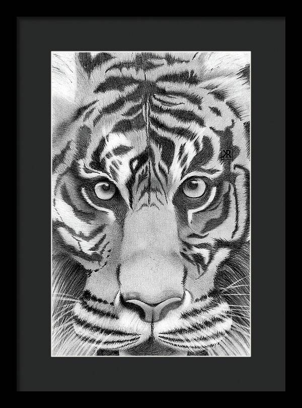 Tiger - Framed Print