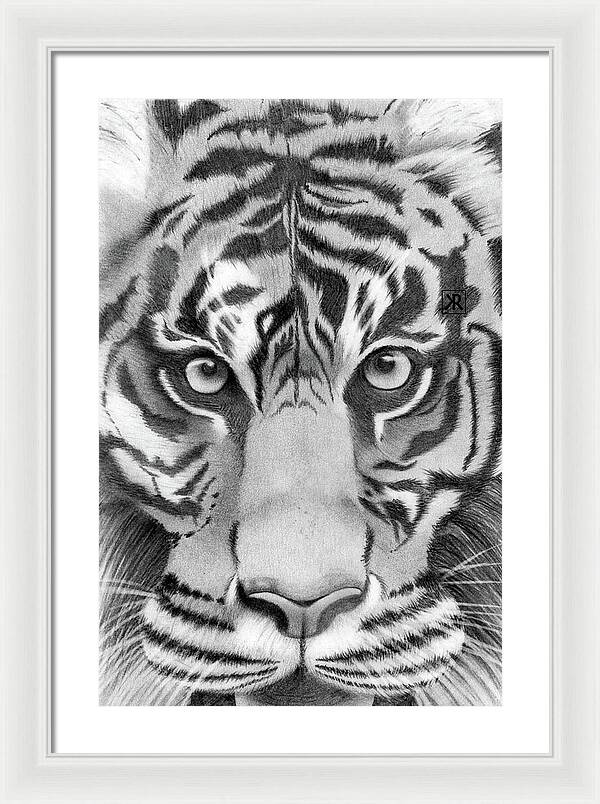 Tiger - Framed Print