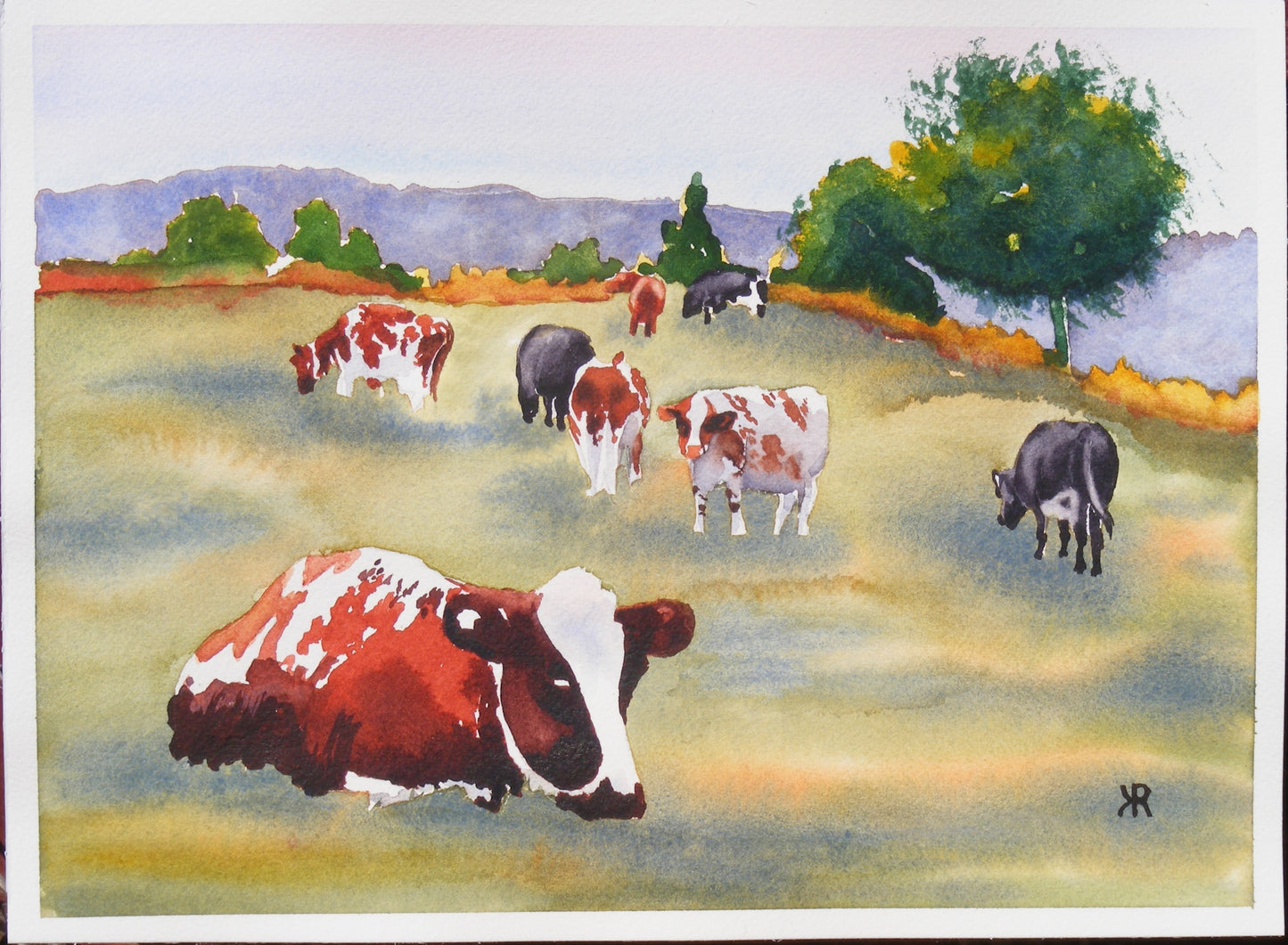 Cows in Pasture ◦ 12" x 9"