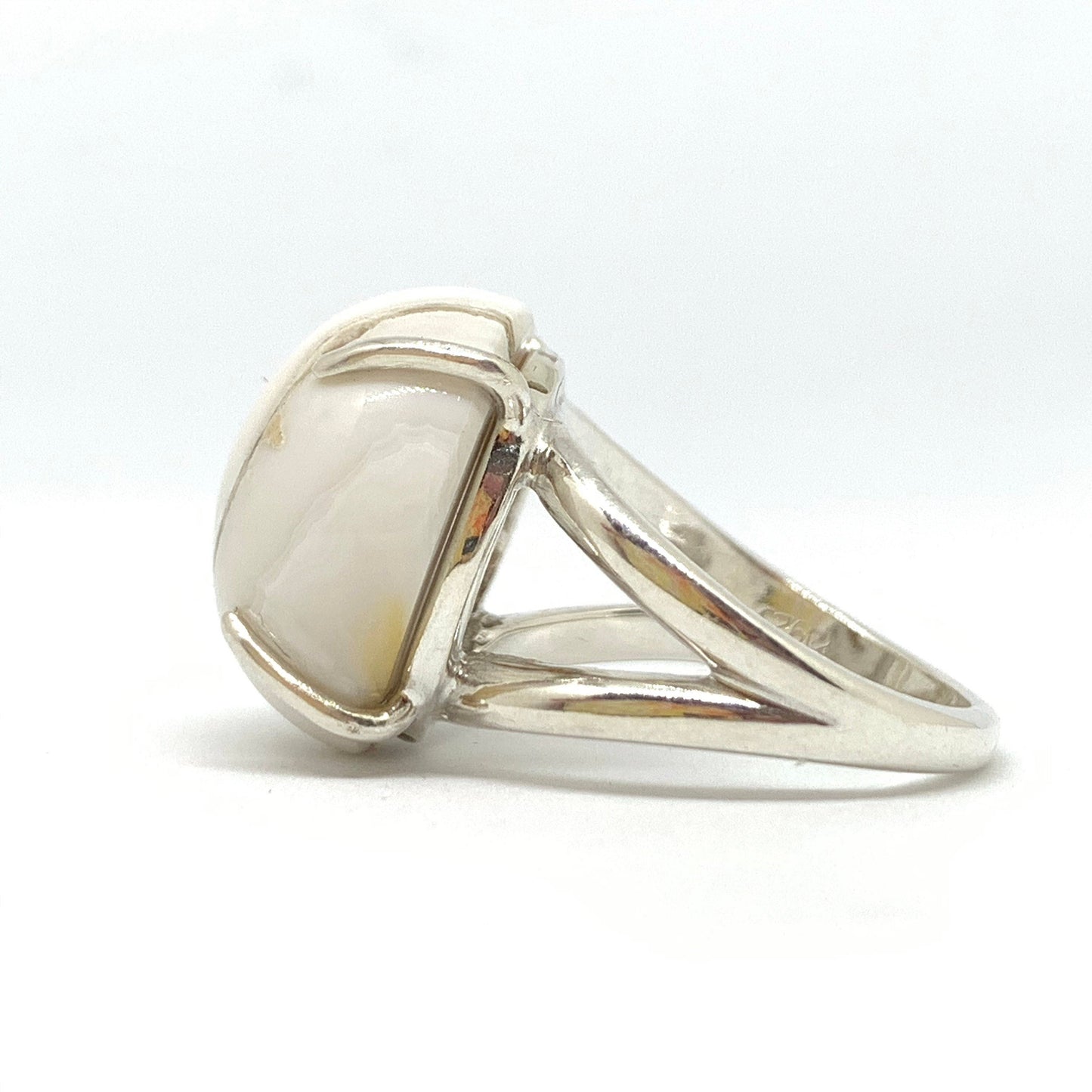 Agatized Sea Snail Fossil Ring
