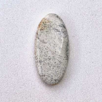 Nevada Picture Stone Cabochon | 21.95 cts.