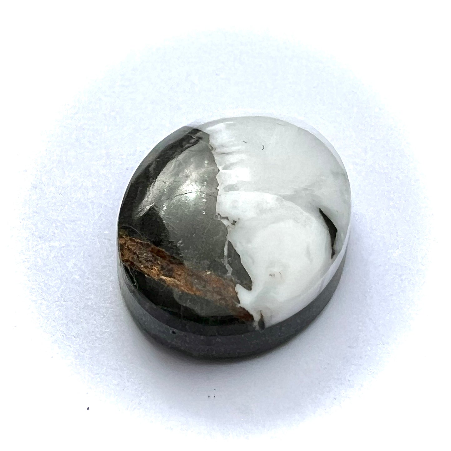 White Buffalo Cabochon (backed), 7.70 cts.