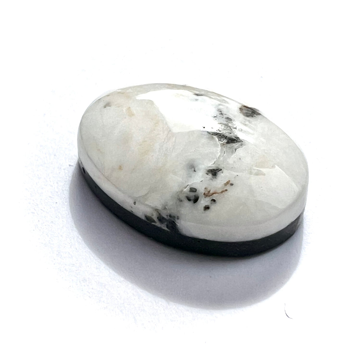 White Buffalo Cabochon (backed), 10.00 cts.